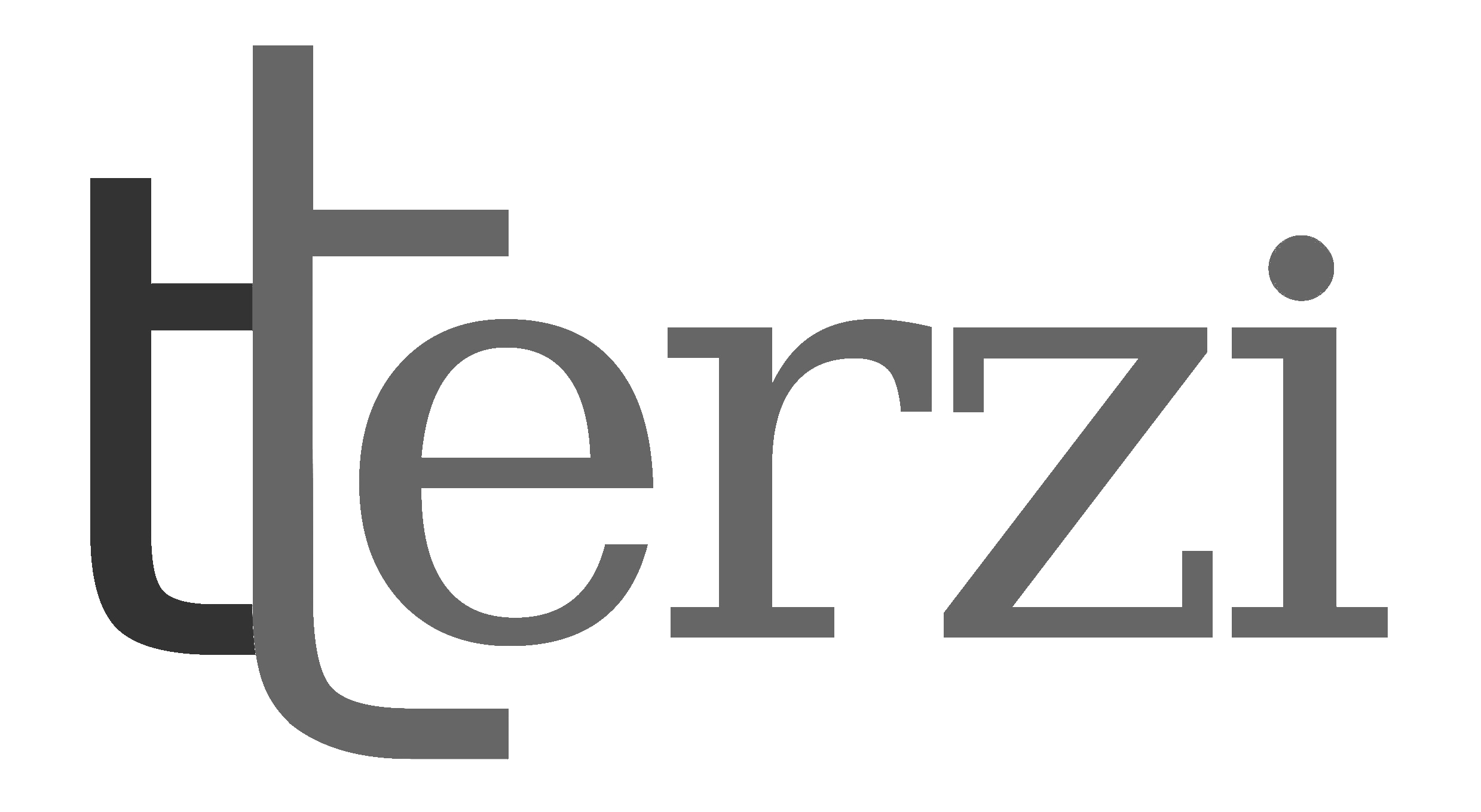 tterzi logo
